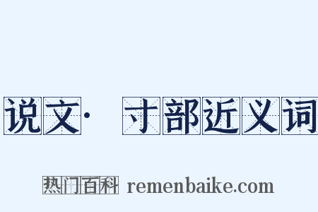 说文·寸部近义词是什么意思的图片